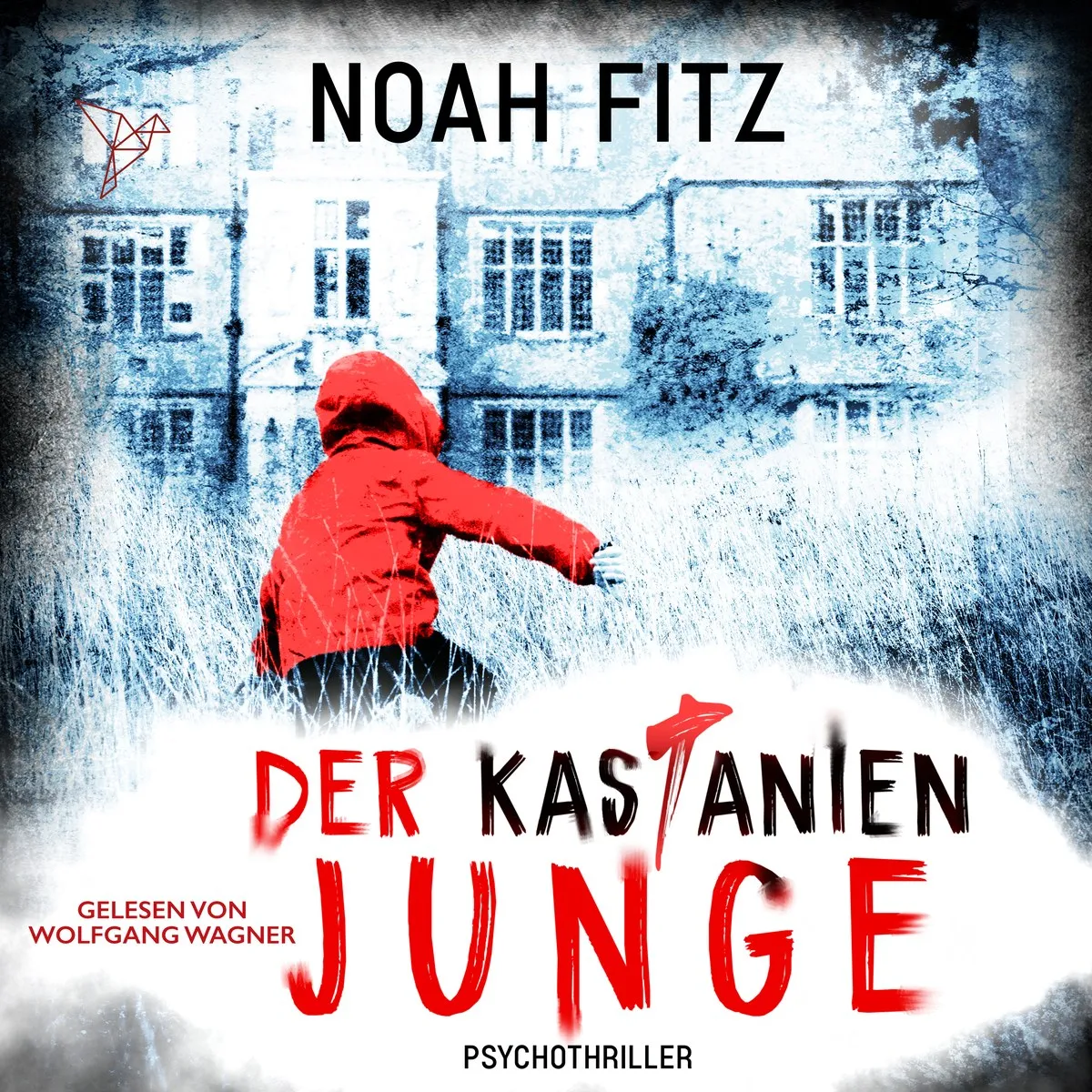 Cover: Der Kastanienjunge von Noah Fitz