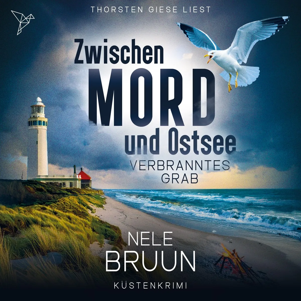 Cover: Verbranntes Grab von Nele Bruun